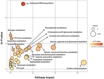 Comprehensive Metabolomics Study in Children With Graves’ Disease